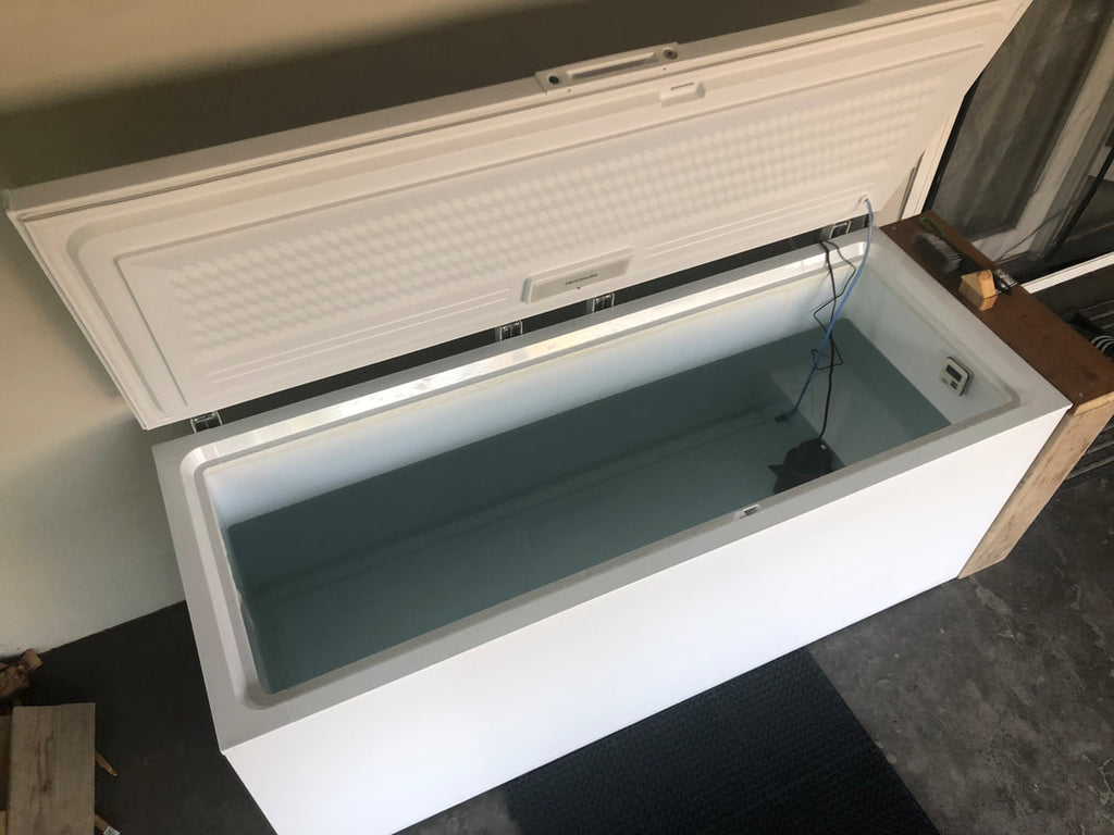Integral Wellness Program